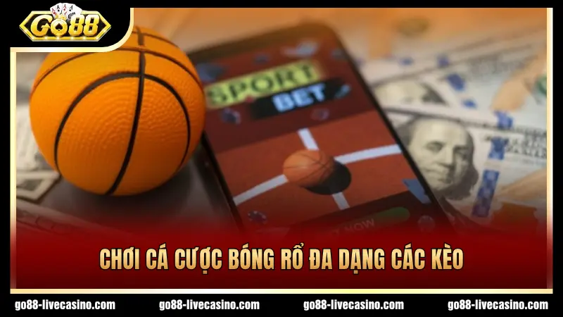Cá cược bóng rổ là môn thể thao nhiều người yêu thích
