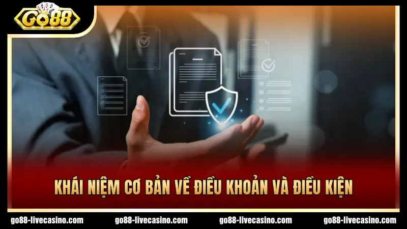 Thông tin sơ lược về điều khoản và điều kiện